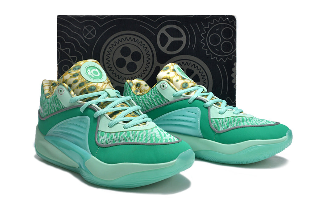 kd 16 green