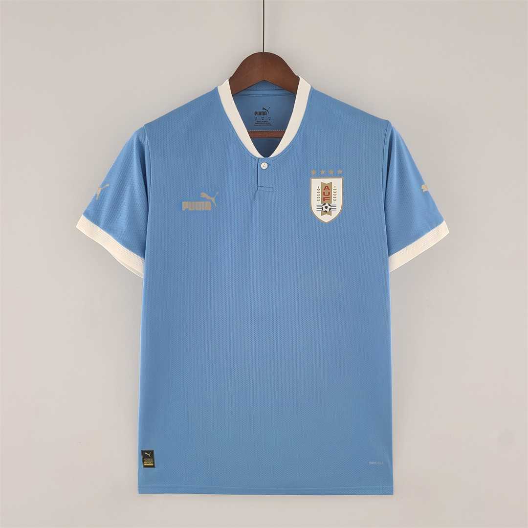 2022 Uruguay home