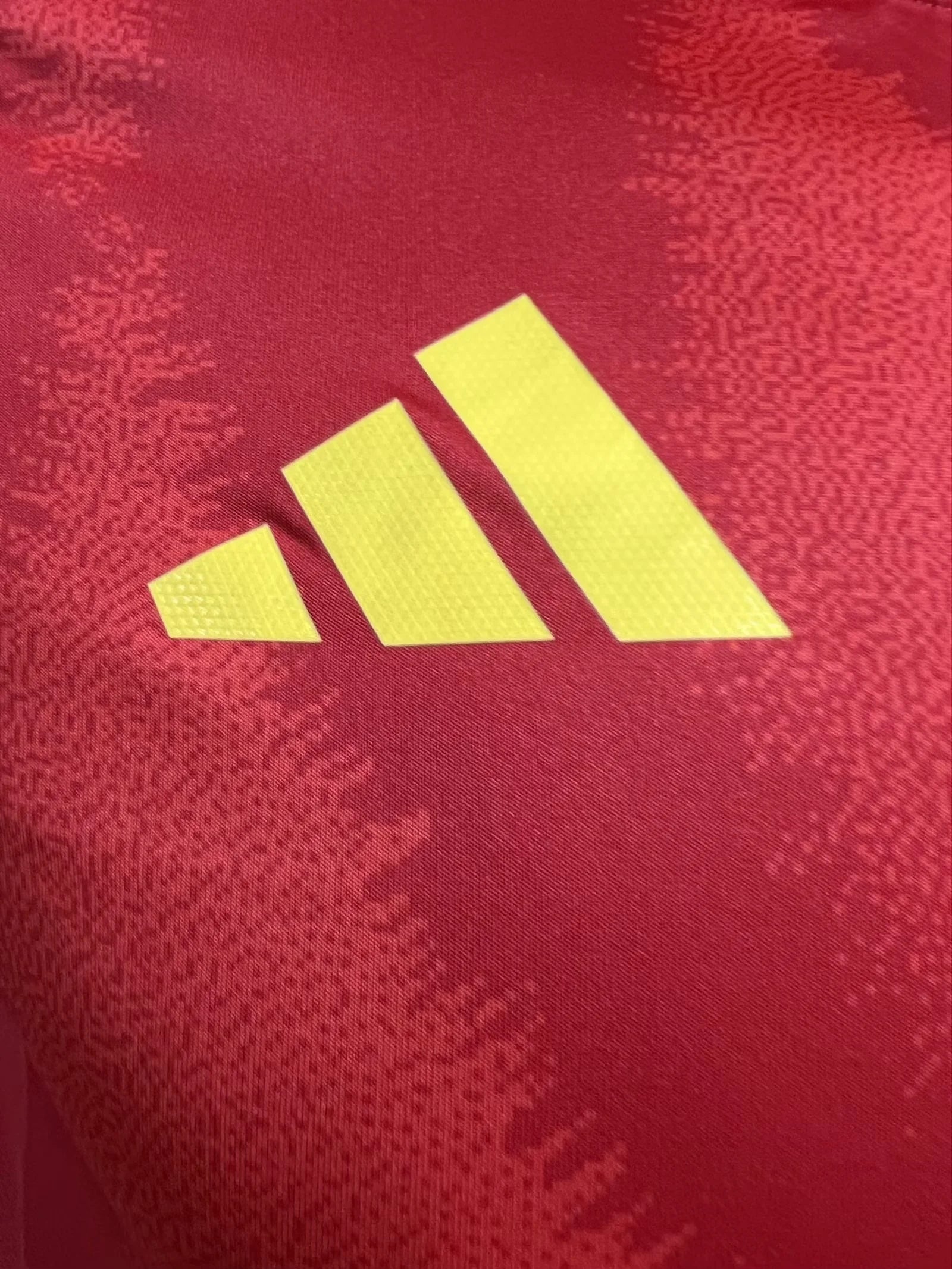 SPAIN HOME 2024 PLAYER VERSION