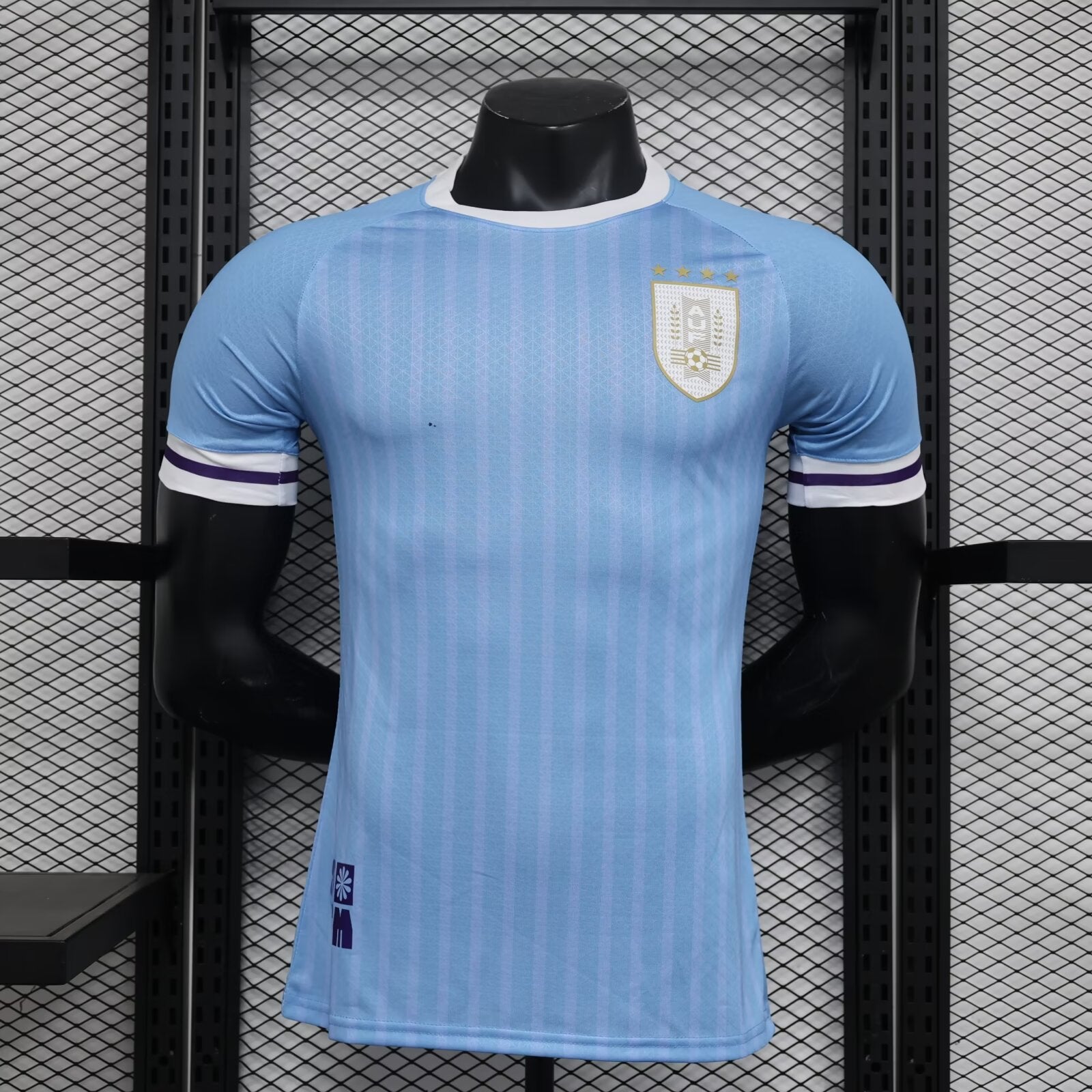 URUGUAY 2024 HOME