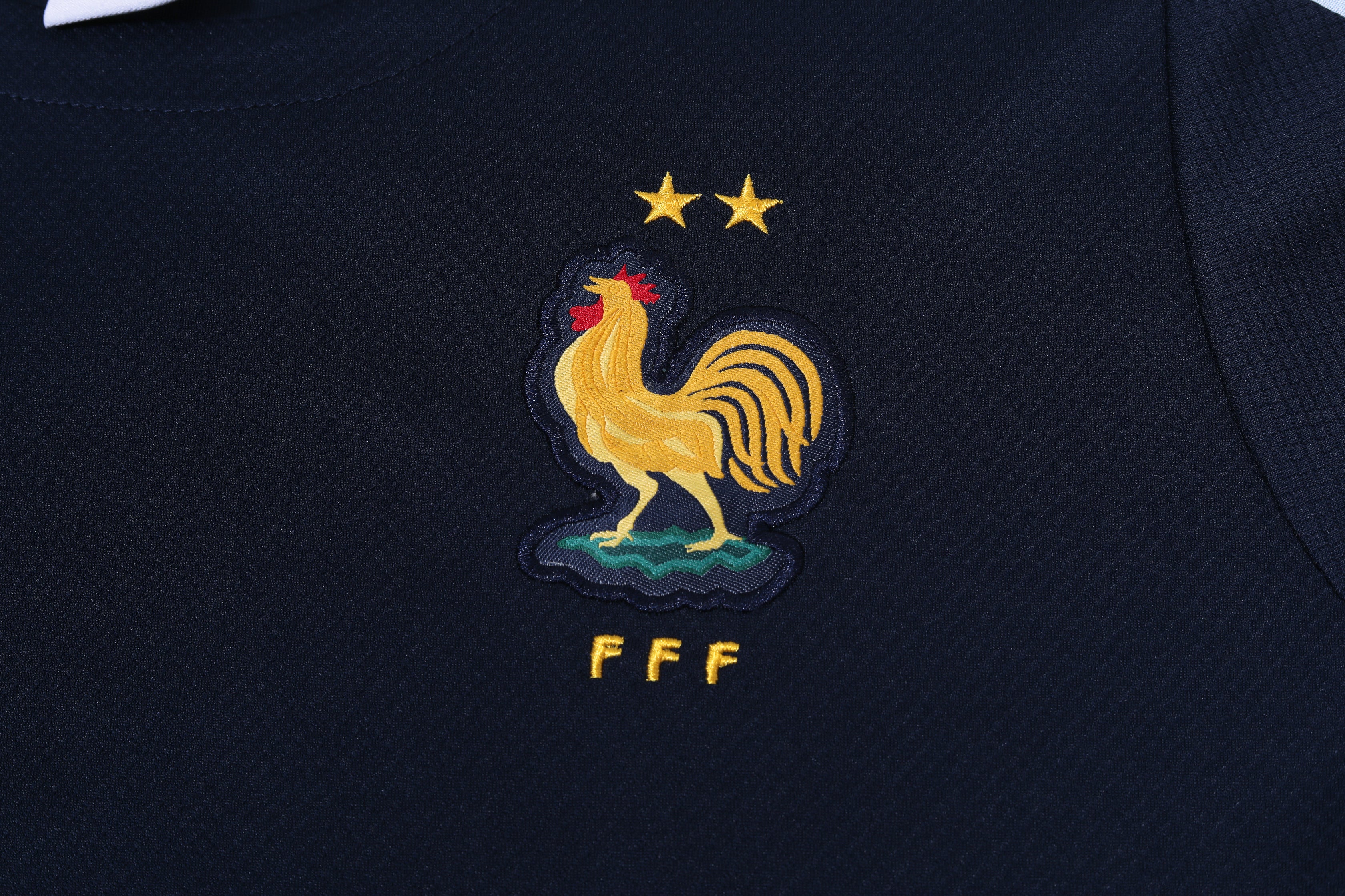 france training shirt 2024/2025