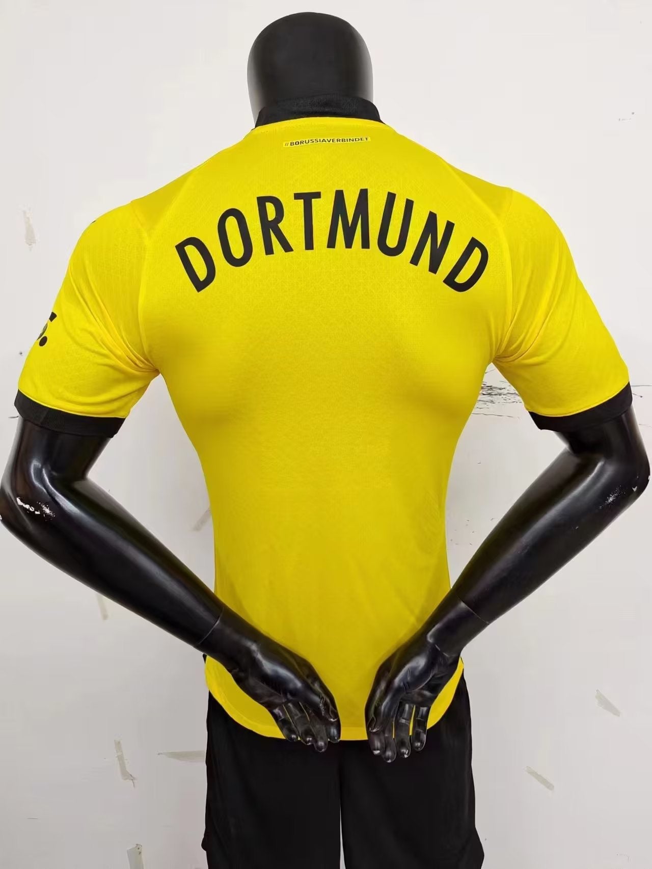 Dortmund Player Version