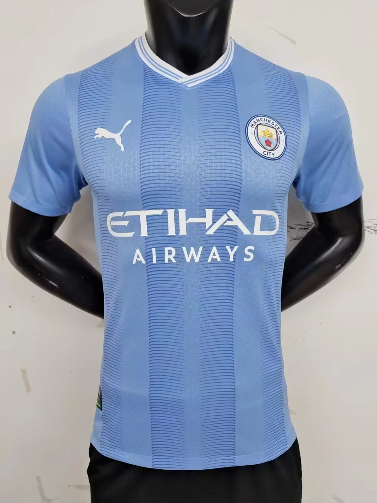 Manchester City Player Version